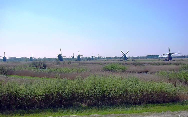 Molens bij de Kinderdijk - dichter bij de polder.